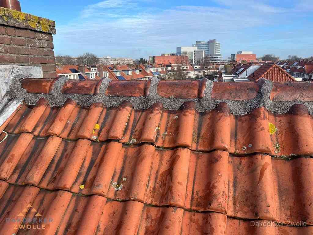 Zwolle Daken Renoveren Zwolle Daken Renoveren